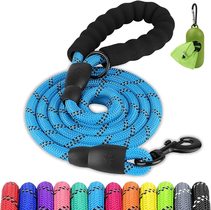 Joytale Rope Dog Leash for Medium Large Dogs, Padded Handle, 5FT, Aqua Blue | Reinforced Nylon Webbing, Comfort Grip Eases Hand Strain, Swivel Clip Prevents Tangles, Visible at Night, for Outdoor Walks