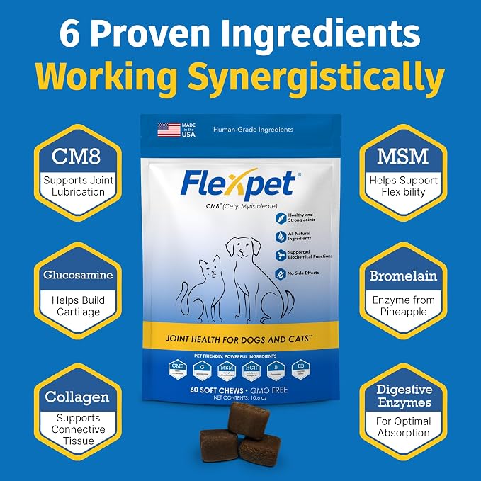 Hip & Joint Supplement for Dogs & Cats with Cetyl Myristoleate, Glucosamine, Collagen, MSM - Max Strength Joint Support for Mobility, Senior Pets, Large Breeds - 60 Soft Chews (Bacon/Cheese)