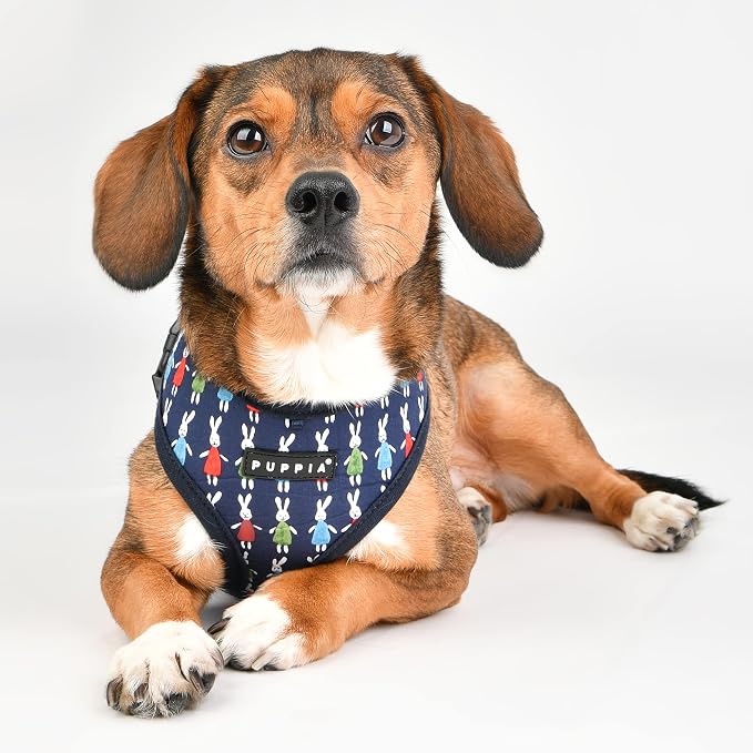 Mollie Harness A - Navy - XL