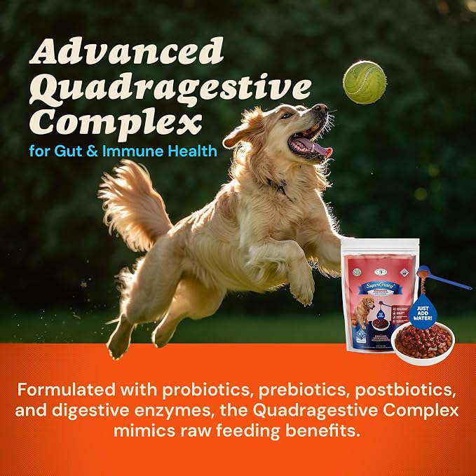 CLEAR CONSCIENCE PET® Barkinara SuperGravy® Dog Food Topper Hydration Broth Mix Greek Yogurt Cheese Blend Kibble Seasoning Probiotics Prebiotics Enzymes Taurine 18 oz. 120 Scoop, All Life Stage