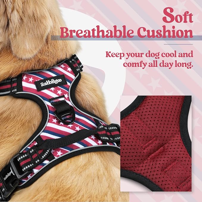 rabbitgoo Dog Harness, No Pull for Large Dogs with 2 Leash Clips, Pet Vest | No Choke with Handle, Adjustable Soft Padded, Reflective, Easy Control for Walking, Red Stripe, Large