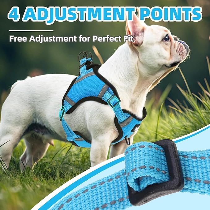 PUPTECK Dog Harness Small Sized Dog, Step in Adjustable Reflective Dog Vest Harness Escape Proof, No Pull Soft Padded Harness Easy Control, Blue, S