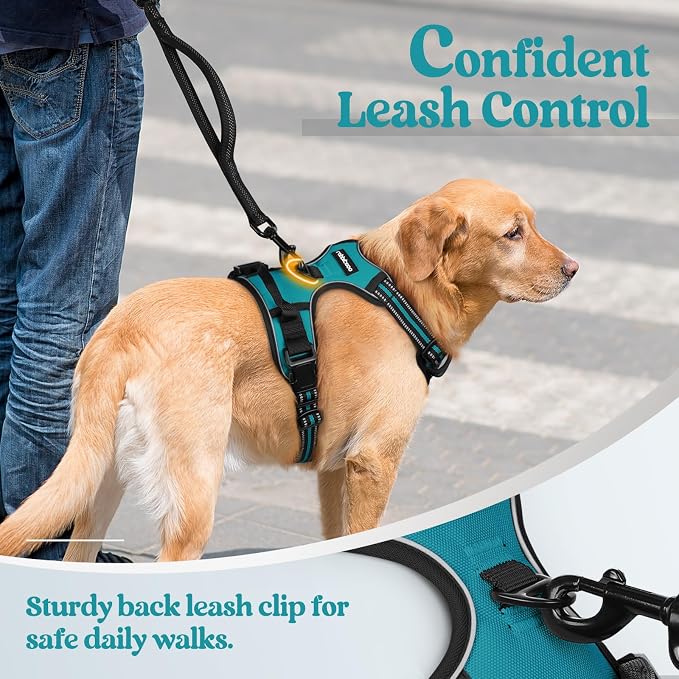 rabbitgoo Dog Harness, No Pull for Small Dogs with 2 Leash Clips, Pet Vest | No Choke with Handle, Adjustable Soft Padded, Reflective, Easy Control for Walking, Teal, Small