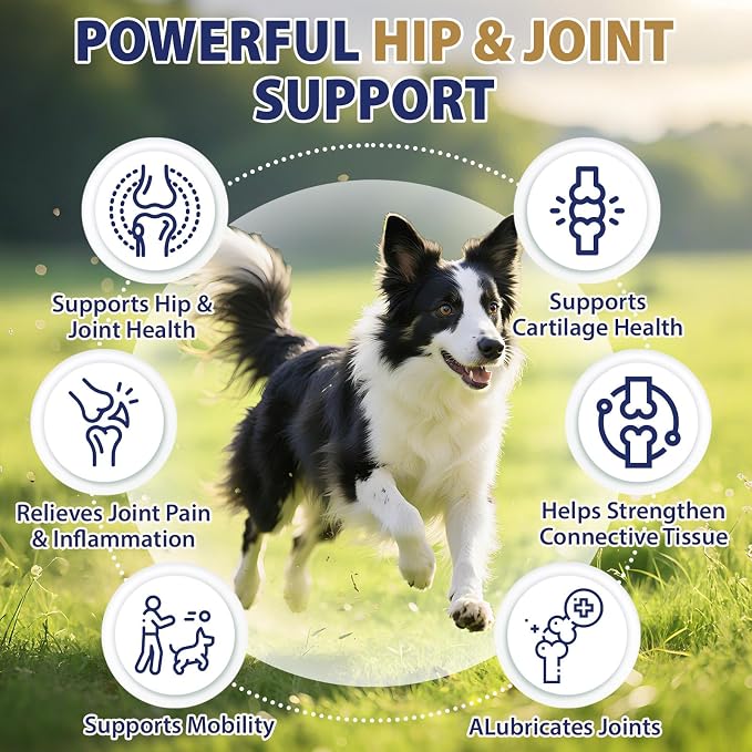 Hip and Joint Supplement for Dogs, 200ct Dog Hemp Calming Chews with Glucosamine, Msm, Chondroitin, Omega 3, Melatonin for Senior Dogs Anxiety, Pain Relief Anti Inflammatory Small/Medium/Large Breed