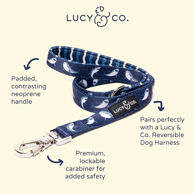 Lucy & Co. Shark Attack Dog Leash - 5-Foot Designer Dog Leash for Small, Medium or Big Dogs or Puppies Puppy - Pet Accessories & Supplies