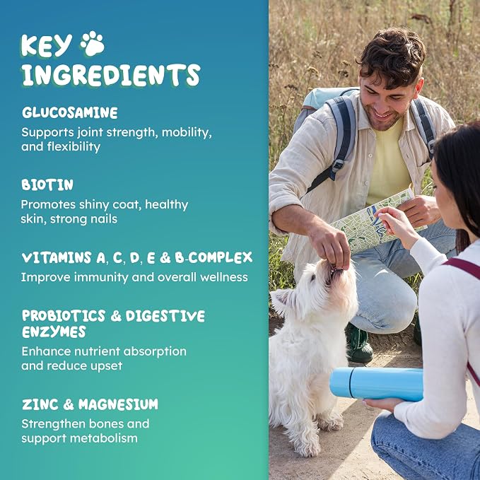 25-in-1 Dog Multivitamin Chews with Probiotic, Salmon Oil & Enzyme
