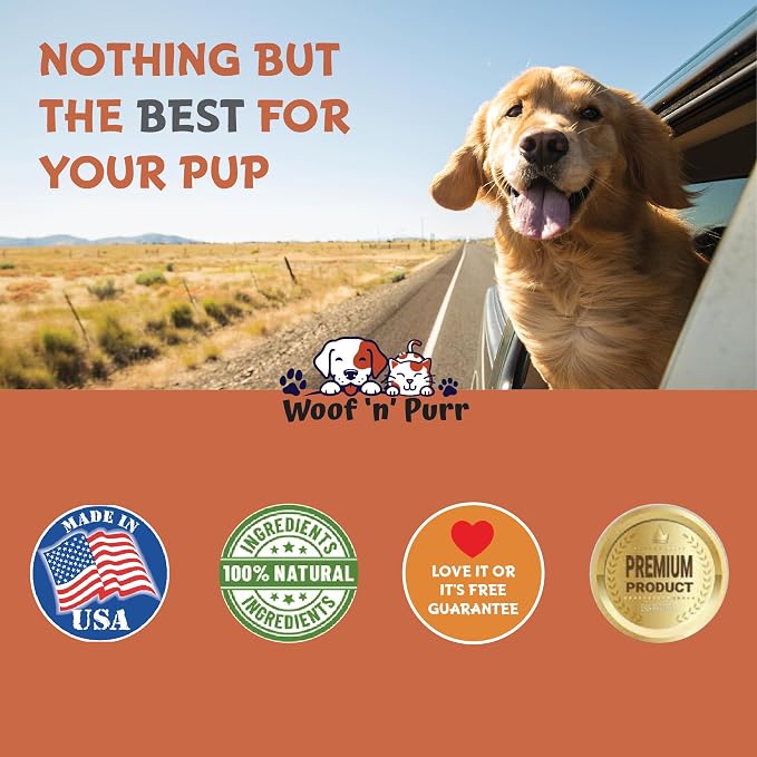 Dog Glucosamine - Supports Hip & Joint Health, Skin & Coat, & Much More - Hip and Joint Supplement - Dog Joint Supplement - Glucosamine Chondroitin for Dogs - 1 fl oz