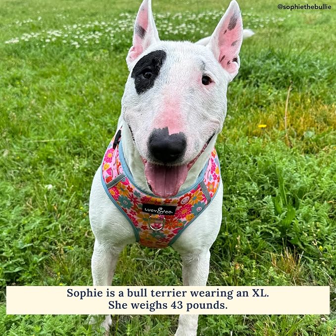 Lucy & Co. Cute No-Pull Y2K Baby Harness - Stop Pulling & Walk Easy - Harness Available in XS-XL for Small, Medium, and Large Dogs - Y2K Baby (X-Large)