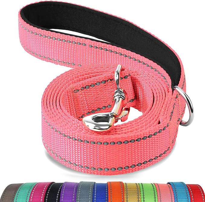 Joytale Reflective Dog Leash for Medium & Large Dogs, 6 FT x 1", Neon Pink | Heavy Duty Nylon Webbing, Padded Handle for Comfort, Visible at Night, for Walking & Training