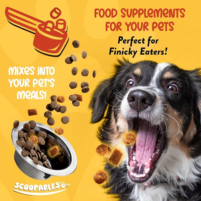 NaturVet Advanced Probiotics Food Topper for Dogs - Bacon, 11oz