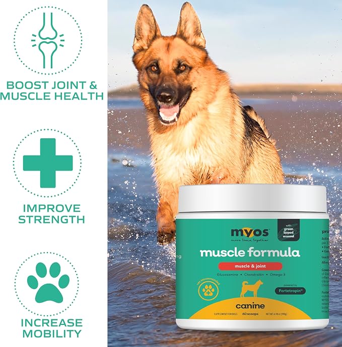 MYOS Muscle & Joint Dog Supplement - Dog Hip and Joint Supplement - 198g