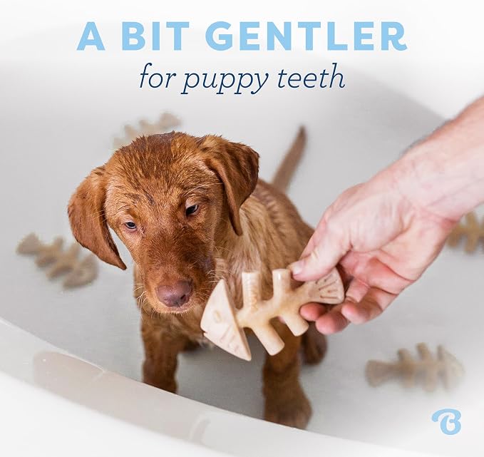 Benebone Puppy 4-Pack Dog Chew Toys for Gentle Chewers, Dog Bones, Small | Durable Made in USA, REAL Bacon, Jack Salmon & Maplewood Flavors, Puppy Teething Toys