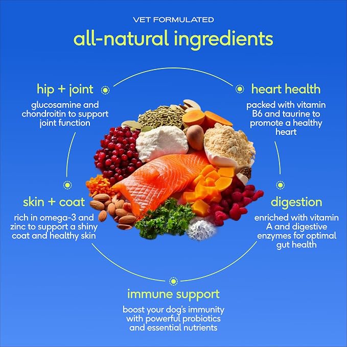 Native Pet The Daily Dog Vitamins & Supplements - 11-in-1 Multivitamin Powder for Dogs - Supports Whole Body Health, Digestion, Mobility & Immunity with Collagen, Glucosamine & Probiotics –120 Scoops