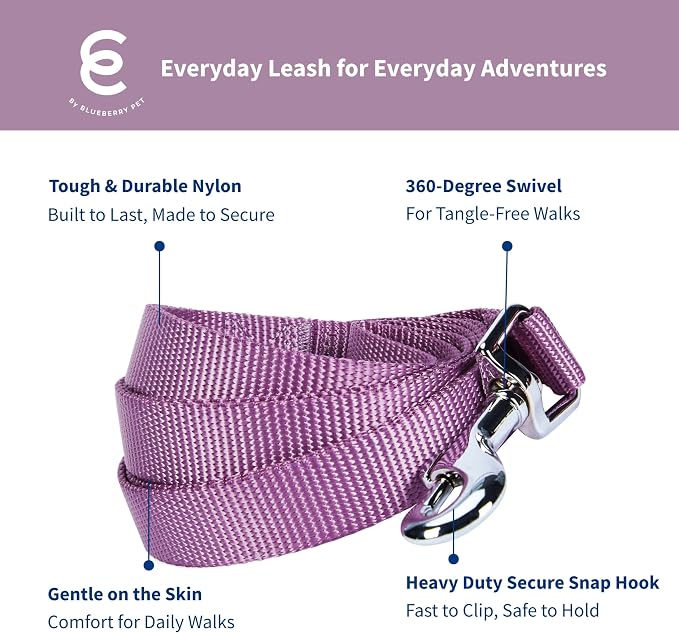 Blueberry Pet Essentials Purple Dog Leash for Small -5' * 5/8" Dogs | Heavy Duty Nylon Lead | Lightweight Puppy & Cat Leash for Walking & Training