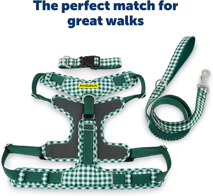 PetSafe Comfort 4 ft Bungee Dog Leash, Green Gingham | Shock-Absorbing Bungee Flexes on Pulls, Dual Handles for Control, Reflective Stitching, Built-in D-Ring for Off-Leash Storage