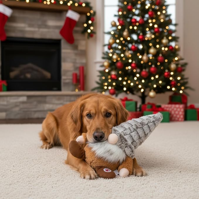 SPOT Woodsy Gnome Dog Toy - Soft, Stuffed, Squeaky, Plush Fabric Toy for Medium and Large Dogs and Puppies, Enrichment for Light Chewers and Cuddlers, 12in, Assorted Colors