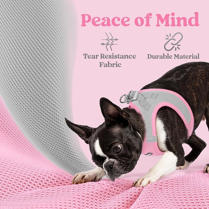 rabbitgoo Step-in Small Dog Harness, Puppy Vest for Small Sized Pet | Easy Put on and off, Lightweight, Soft, Breathable Quick-Dry Air Mesh for Comfortable Secure Walking, Light Pink & Gray XS