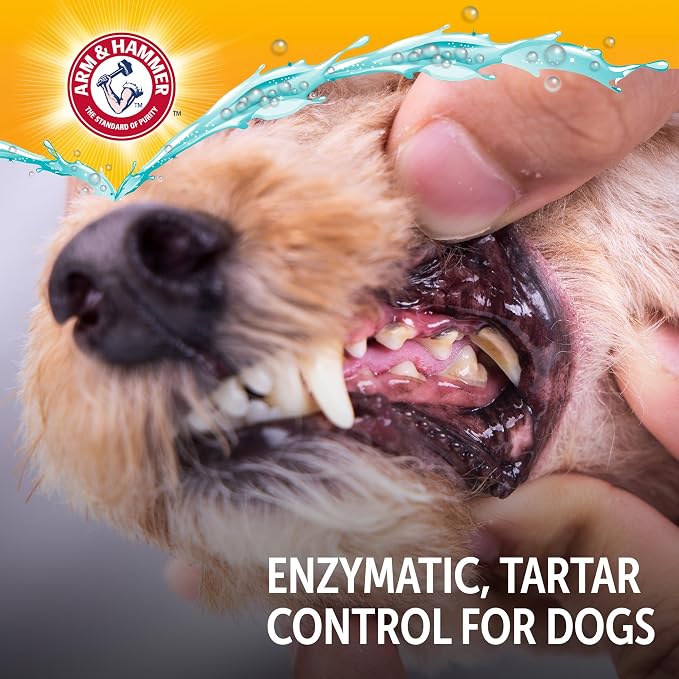 Arm & Hammer Complete Care Enzymatic Dog Toothpaste, Chicken, 6.2 Oz | Fluoride-free formula with baking soda and calcium fights plaque and tartar, freshens breath, value size