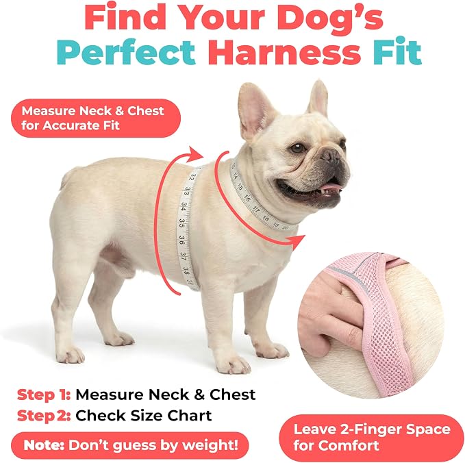Voyager Step-in Air Dog Vest Harness - Gray 2-Tone, Large | 18- 20.5" in Chest, Reflective Bands, All Weather Breathable Air Mesh, Cats Compatible, Lightweight, Fast Drying