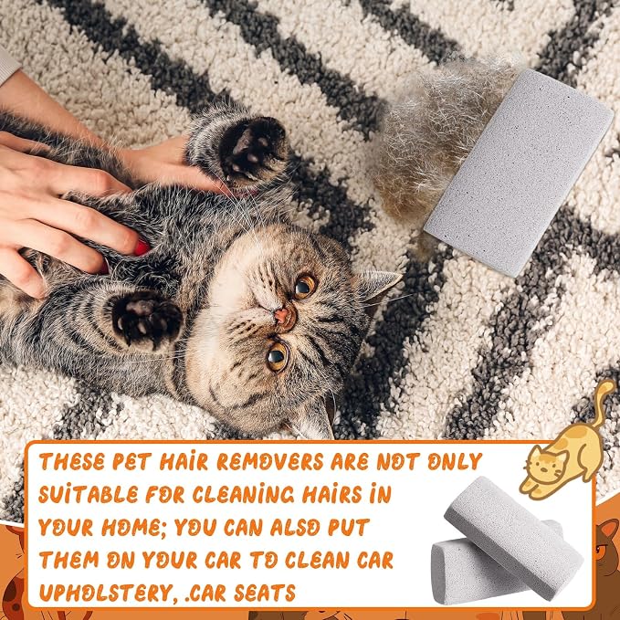Abbylike 6 Pcs Pet Hair Remover Pumice Stone Reusable Portable Dog Cat Hair Removal Tool Scraper for Carpet,Couch, Bedding, Car Upholstery, Furniture Cleaning (3.74 x 1.97 x 1.38 Inch,Gray)