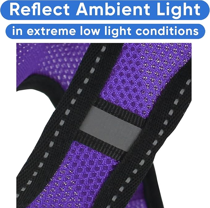 Pawtitas Dog Vest Harness Made with Breathable Air Mesh | All Weather Vest Harness for Small Puppies and Large Cats with Quick-Release Buckle - Small Purple Mesh Dog Harness