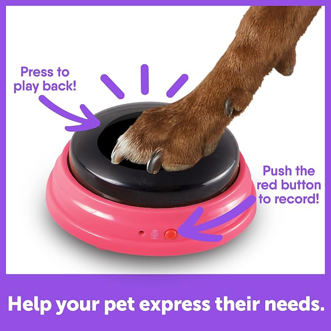 Hunger For Words Talking Pet Buttons, 3 Piece Set