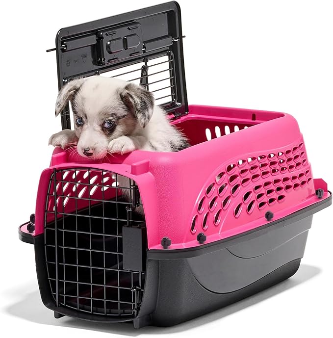 Petmate Two Door Plastic Pet Kennel, XS 19in, Pink, up to 10lbs | Top and Front Loading Dog Crate and Cat Carrier for Small Dogs, Doubles as Travel Kennel