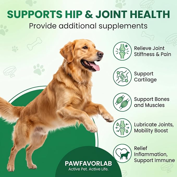 Hip & Joint Supplement for Dogs - Glucosamine, Chondroitin, MSM, Green Lipped Mussels & Turmeric - Natural Arthritis Pain Relief & Mobility Support for All Ages - 200 Soft Chews