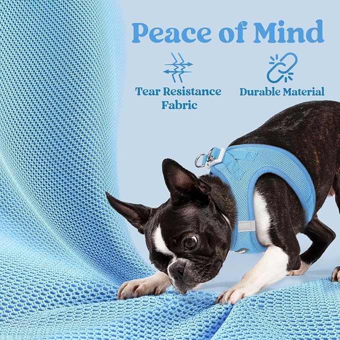 rabbitgoo Step-in Small Dog Harness, Puppy Vest for Small Sized Pet | Easy Put on and off, Lightweight, Soft, Breathable Quick-Dry Air Mesh for Comfortable Secure Walking, Blue XS
