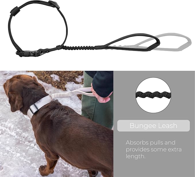 TUG Grab Dog Collar with Built-in Magnetic Traffic Leash (Medium/Black) | Magnetic Built-In Traffic Leash | Shock-Absorbing Bungee | Adjustable Strap