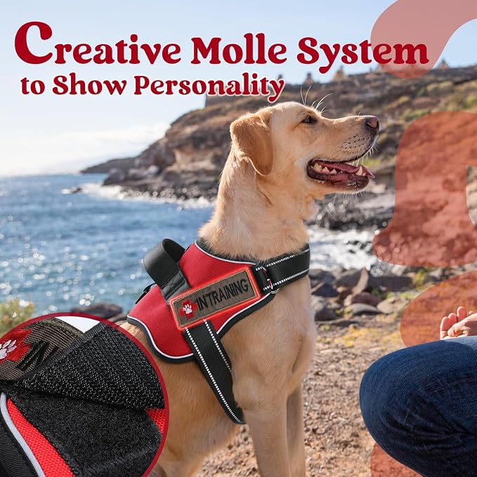 rabbitgoo No Pull No Choke Pet Vest, Adjustable Pet Harness with Molle | Large Sized Dog Harness, Reflective, Easy Wearing with One Buckle for Walking, Training, Red, L