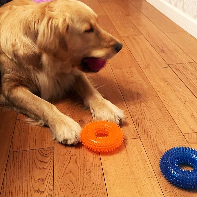 Jalousie Dog Squeaky Toys Value Set Non-Toxic Squeaky Balls Toss Fetch TPR Rubber Puppy Toys Spikey Dog Chew Toy for Small Medium Breed Pet Toys for Puppy (6 Pack Assorted)