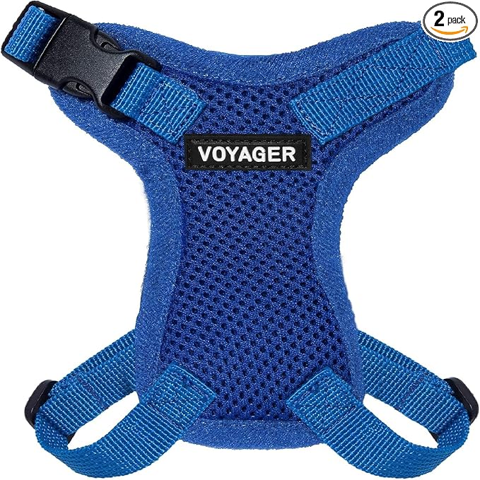 Voyager Escape-Proof Step-in Lock Cat Harness & 5ft Neoprene-Handle Leash Set All-Weather Mesh with Reflective Stitching for Small to Large Cats by Best Pet Supplies, Royal Blue, XXS