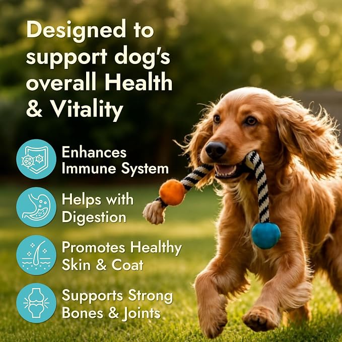 Pet Vet Multi Soft Chews for Dogs Beef Liver 60ct – 6-in-1 Support