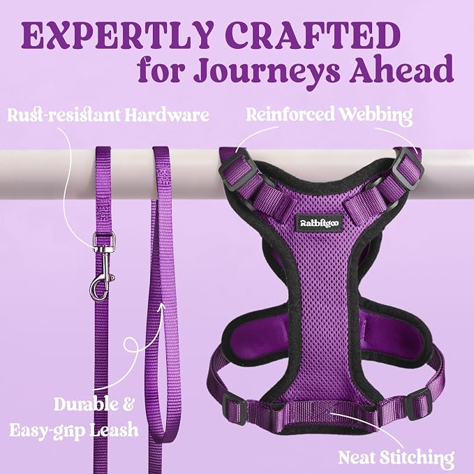 rabbitgoo Cat Harness and Leash Set, Escape Proof Vest, Purple | Soft Breathable Mesh, Easy Adjustable Fit, Snap Buckles, Sturdy Clip, Reflective Strips, for Medium to Large Cats Walks, M