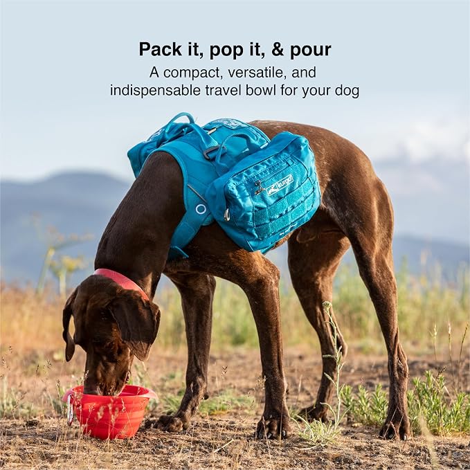 Kurgo Collapsible Travel Dog Bowl, Red