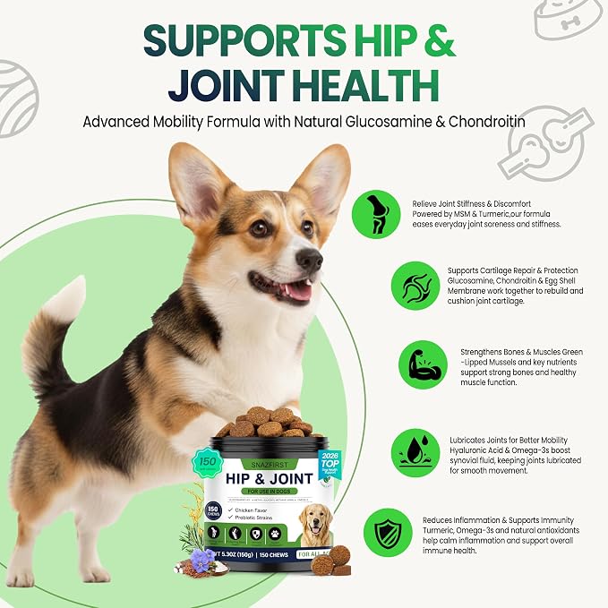 Hip and Joint Supplement for Dogs, Glucosamine for Dogs Joint Supplement