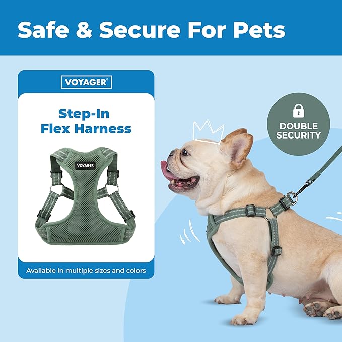 Voyager Step-in Flex Adjustable Dog Harness - Moss Green, X-Small | 13 - 16" in Chest, Fully Adjustable, Reflective Bands, All Weather Breathable Air Mesh, Lightweight, Fast Drying