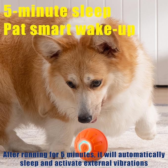 Interactive Self-Moving Pet Toy Ball - Motion-Activated Auto Rolling, Military-Grade Chew Resistant, USB-C Rechargeable for Small Dogs & Cats (Blue, Small