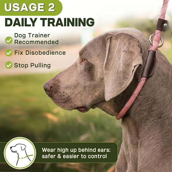 Fida Duarble Slip Leads for Dogs, 4 FT x 1/2" Heavy Duty Dog Loop Leashes, Comfortable Strong Rope Slip Leash for Small Dogs and Puppies, No Pull Pet Training Lead with Highly Reflective(1/2", Pink)