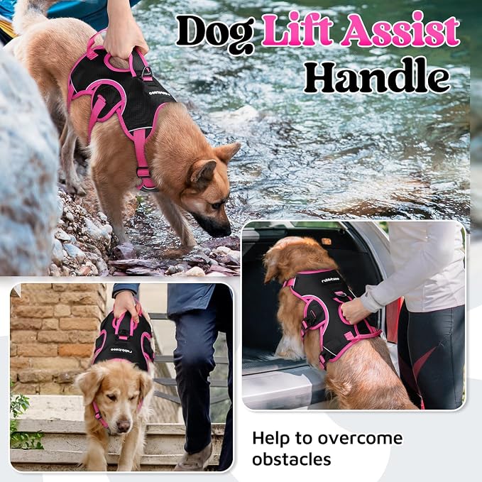 rabbitgoo Escape Proof Dog Harness for Large, No Pull with Lift Handle | No Escape, Full Soft Padded, Reflective Adjustable Vest, Leash Clip for Walking Hiking Training, Rose & Black, Large