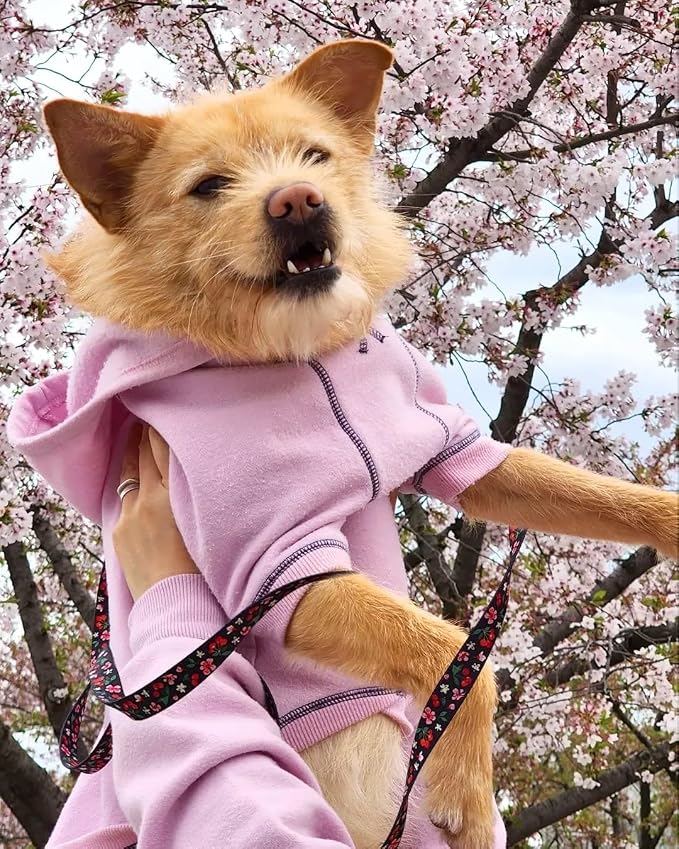 Cherry Garden Dog Leash