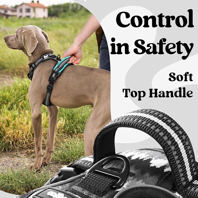 rabbitgoo Dog Harness Small Sized, Updated Easy On & Off with 3 Buckles | No Pull No Choke, Walking with 2 Clips and Handle, Adjustable Soft Reflective, Mountain Black, Small
