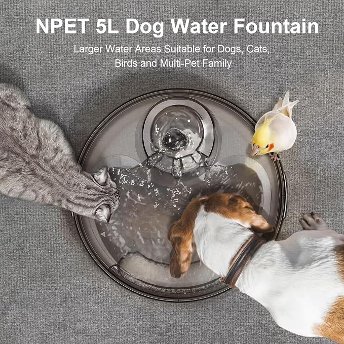 NPET Large Dog Water Fountain,169oz/5L Deep Drinking Area Automatic Pet Fountains Filtration Water Dispenser with Quiet Pump for Cats Dogs