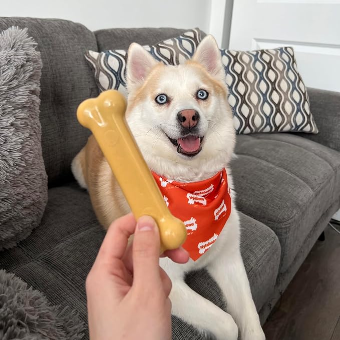 Nylabone Power Chew Customer Favorites Dog Chew Toys, 3 Count, Small | Flavor Medley, peanut butter, and beef flavor, durable dog toys for aggressive chewers, for large breeds up to 25 lbs