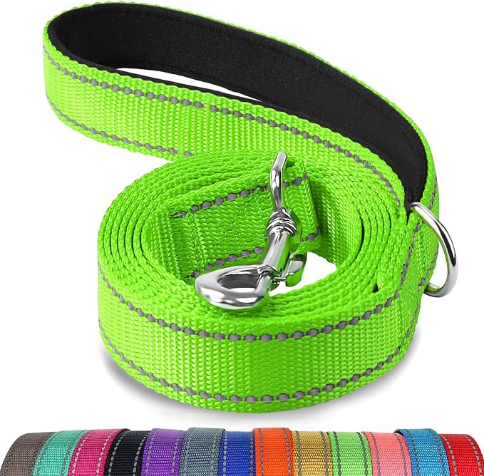 Joytale Reflective Dog Leash for Medium & Large Dogs, 5 FT x 1", Green | Heavy Duty Nylon Webbing, Padded Handle for Comfort, Visible at Night, for Walking & Training
