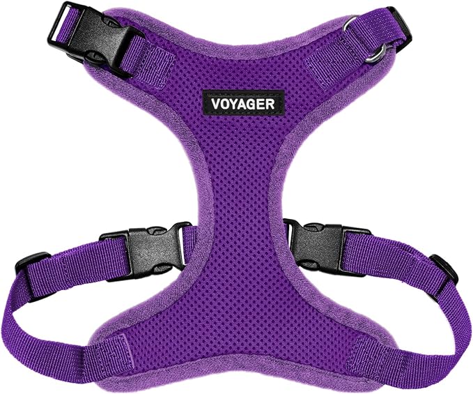 Voyager Step-in Lock Dog Harness - Purple, Medium | 17 - 21" in Chest, Adjustable, Breathable Air Mesh, Lightweight for Daily Walks, Strong Clips, Heavy Duty D-Ring