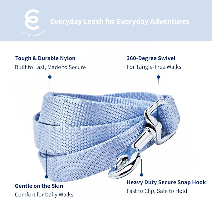 Blueberry Pet Essentials Chambray Blue Dog Leash for Small -5' * 5/8" Dogs | Heavy Duty Nylon Lead | Lightweight Puppy & Cat Leash for Walking & Training