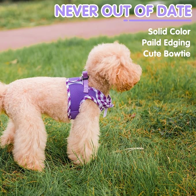 PUPTECK Dog Harness for Puppy and Small Sized Dogs, Step-in No Pull Soft Mesh Vest Harness for Cats Small Pets Walking, Purple, New S