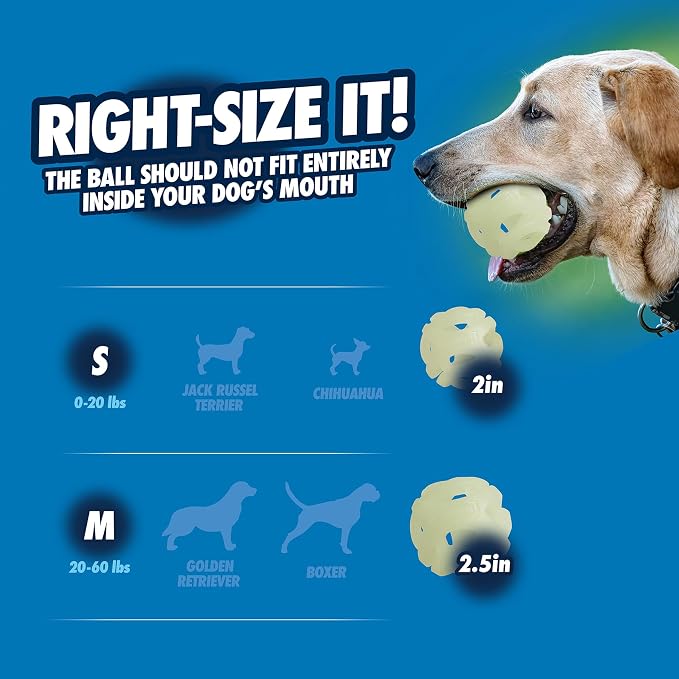 Chuckit! Air Glow Fetch Ball Dog Toy, Medium 2.5in, 2 Pack | Made for Dogs Weighing 0 to 60 Pounds